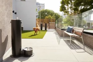 Los Angeles senior living pet
